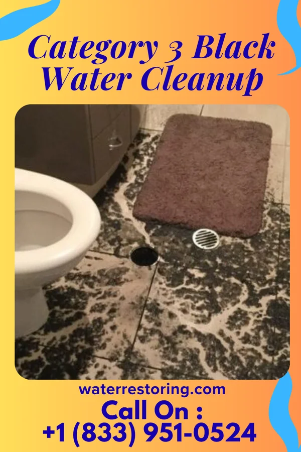 Category 3 Black Water Cleanup in Blowing Rock, NC