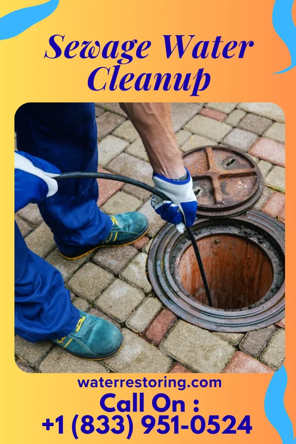 Sewage Water Cleanup in Blowing Rock, NC
