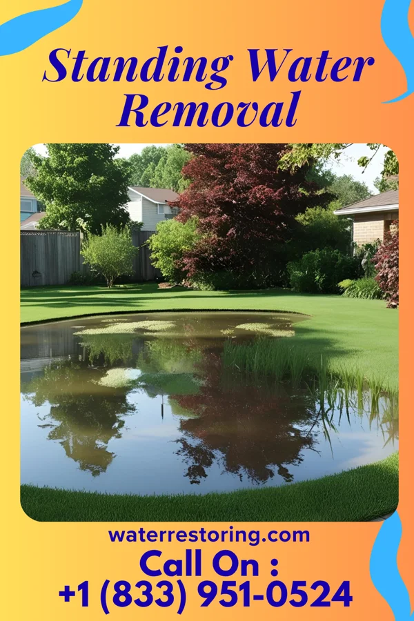 Standing Water Removal in Blowing Rock, NC